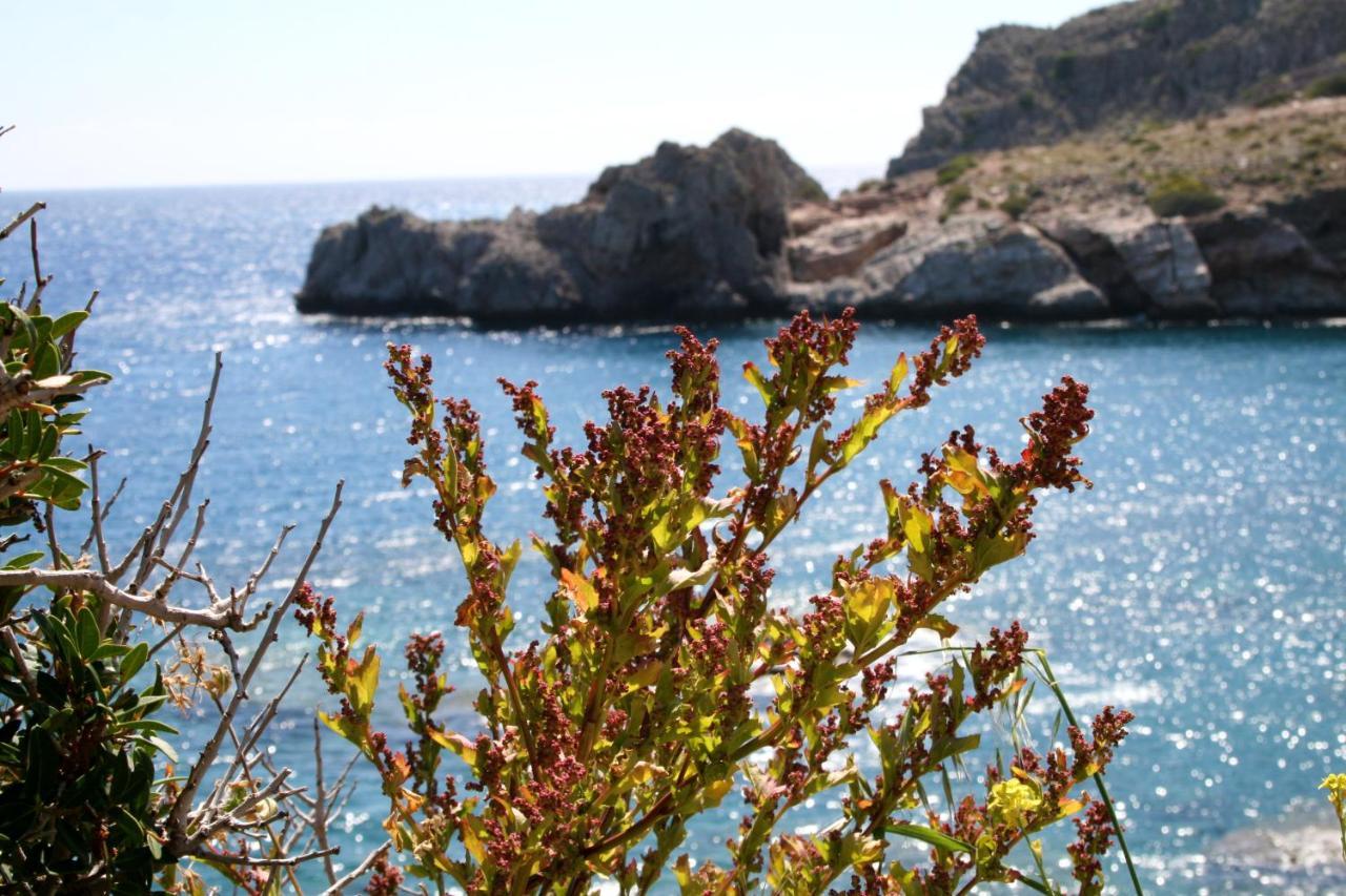 Agios Pavlos Hotel Bagian luar foto